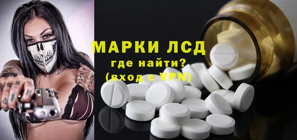 прущие грибы Балабаново