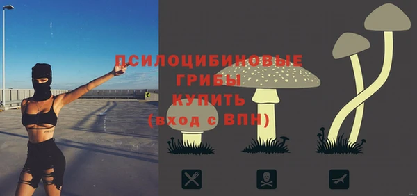 твердый Балахна