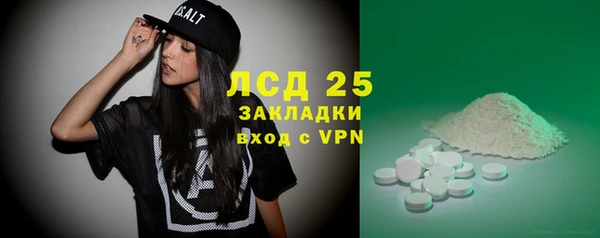 прущие грибы Балабаново