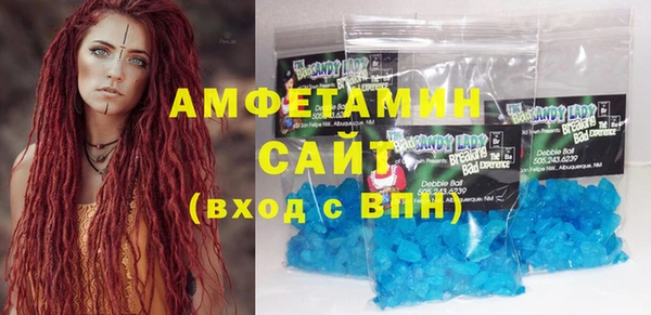 прущие грибы Балабаново