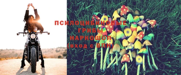 экстази Арсеньев