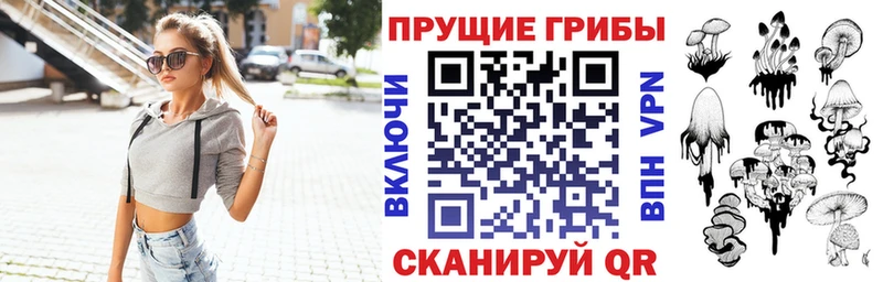 купить   Куртамыш  Псилоцибиновые грибы GOLDEN TEACHER 
